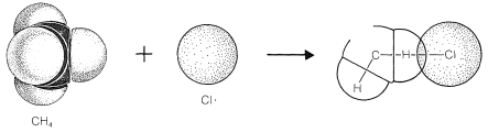 C H 4 goes to C L radical goes to C H 2 C L. Atoms and bonds are drawn out.