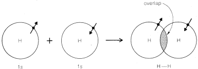 Left-side of arrow: Two circles representing a hydrogen atom being added together, each has an arrow half in and half out of the circle. Left atom has arrow pointing up and out of the atom and the right has the arrow pointing down and into the circle. Each atom is labeled 1 s. This goes to the two hydrogen atoms bonded together. The overlap between atoms is shaded grey. Labeled H-H.