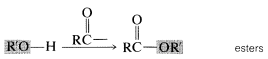 R O shaded in grey single bond H adds an R C double bond O to get R C with a double bond O single bonded to the O R shaded in grey. Labeled esters.