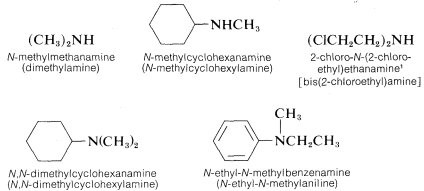 Top left: (C H 3) 2 N H; labeled N-methylmethanamine (dimethylamine). Top middle: cyclohexane with a N H C H 3 substituent; labeled N-methylcyclohexanamine (N-methylcyclohexylamine). Top right: (C L C H 2 C H 2) 2 N H; labeled 2-chloro-N-(2-chloroethyl) ethanamine [bis(2-chloroethyl)amine]. Bottom left: cyclohexane with a N (C H 3) 2 substituent; labeled N,N-dimethylcyclohexanamine (N,N-dimethylcyclohexylamine). Bottom right: benzene ring with a N C H 2 C H 3 substituent. C H 3 attached to the nitrogen. Labeled N-ethyl-N-methylbenzeneamine (N-ethyl-N-methylaniline).