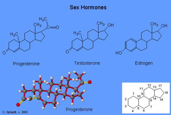 lipids monomer structure