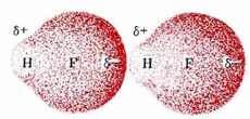 Diagram of two distorted spheres. One on the left and one on the right. The left sphere has a bulge on its left side corresponding to "H" and a partially positive charge. Most of the sphere corresponds to cloud of "F". The sphere on the right is oriented the same way with the positive side attracted to the "F" side of the first sphere. 