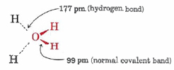 El enlace covalente normal es 99 “P” “M” y el enlace de hidrógeno es 177 “P” “M”.