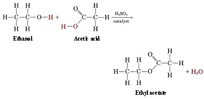 Reaction diagram of ethanol and acetic acid to produce ethyl acetate and water. Sulfuric acid is used as a catalyst.