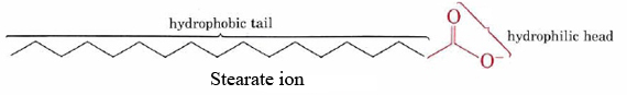 Bond line structure of a stearate ion. The long carbon chain is labeled hydrophobic tail and the COO- group on the end is labeled hydrophilic head.