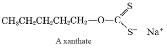 Chemical formula of a xanthate. CH3CH2CH2CH2CH2OC(S2)- nA+