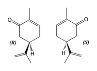 Las dos fórmulas esqueléticas mostradas para carvone son imágenes especulares entre sí.