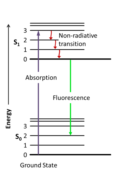 396px-Jablonski_Diagram_of_Fluorescence_Only.png