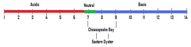 Cheasapeake_Bay_pH_Scale.jpg