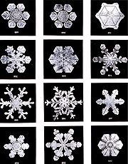 180px-SnowflakesWilsonBentley.jpg