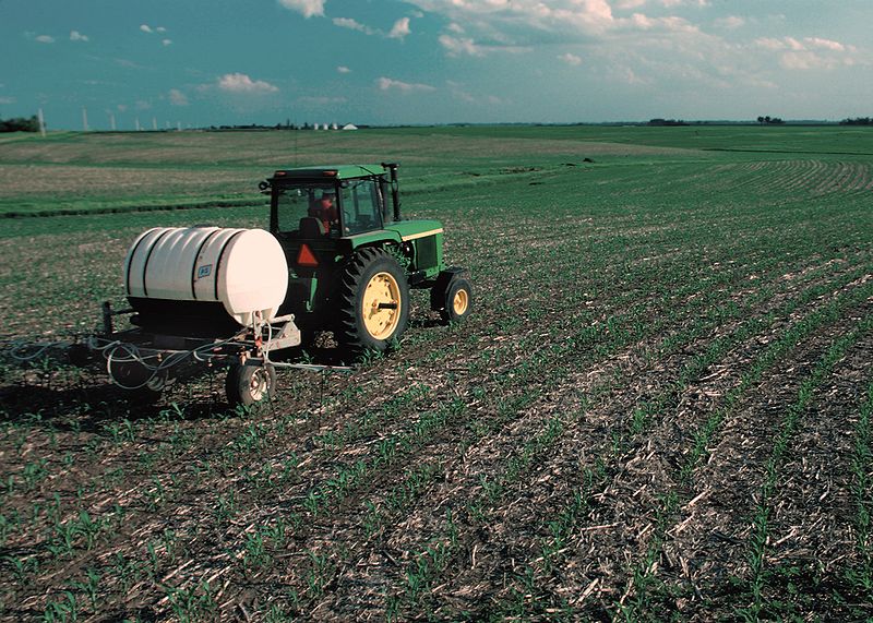 Un tractor que aplica fertilizante a un campo de maíz.