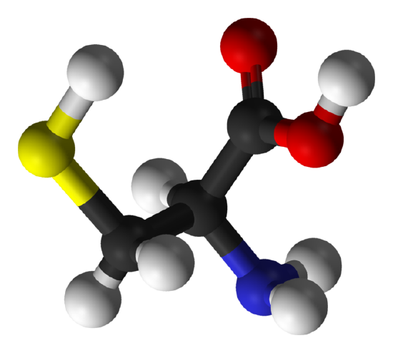 3D Structure of L-cysteine.