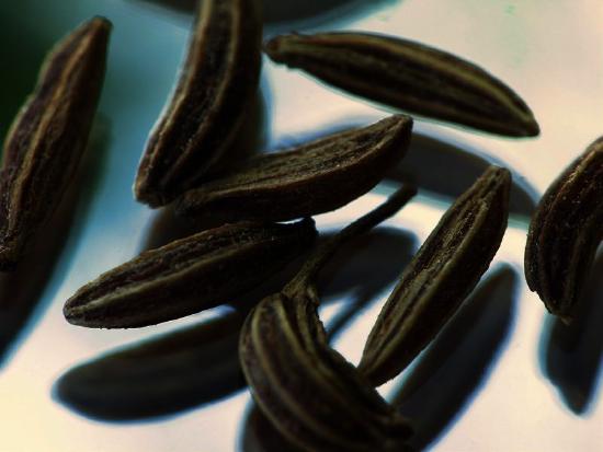 Caraway seeds.