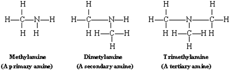The chemical structures of Methylamine, a primary amine, Dimethylamine, a secondary amine, and Trimethylamine, a tertiary amine.