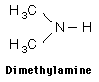 Dimethylamine.png