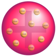In the plum pudding model, electrons are uniformly spread in a sphere of positive charge