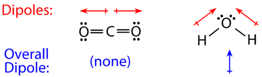 Carbon dioxide has two opposing dipoles going outward from the carbon to the oxygens resulting in a net 0 dipole. Water has two dipoles moving from the hydrogens to the oxygen. Water is a bent molecule, so when written out, there is a net dipole towards the point of the bend.
