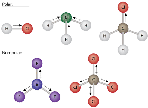 Polar molecules: Hydrochloric acid, ammonia, chloromethane; Nonpolar molecules: bromine trifluoride, carbon tetrachloride  