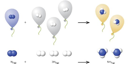 AReaction diagram with balloons representing molecules.  One balloon representing one nitrogen gas molecule reacts with three balloons representing hydrogen gas molecules to form two balloons representing two ammonia gas molecules.