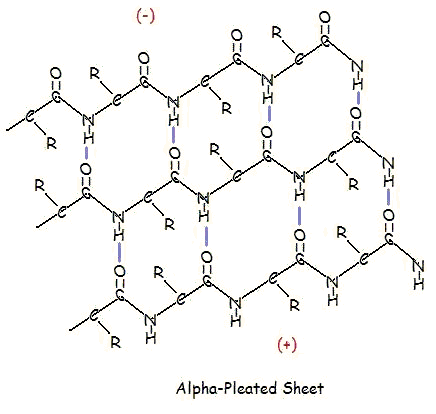 Alpha-Pleated Sheet.bmp