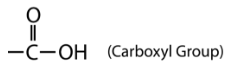 Chemical structure of a carboxyl group, showing a carbon atom double-bonded to an oxygen atom and single-bonded to a hydroxyl group (OH). Labeled Carboxyl Group.
