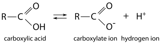 Functional group of carboxylic acid