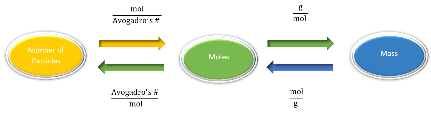 To convert from number of particles to moles, use mol/Avogrado's #, and to convert from moles to mass, use g/mol.