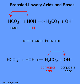 Bronsted Lowry Acid and Base Theory
