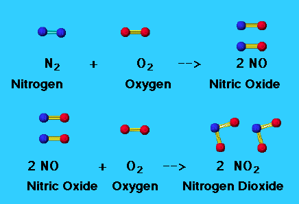 Nitrogen reacts with oxygen to form nitric oxide. Nitric oxide reacts with oxygen to produce nitrogen dioxide.