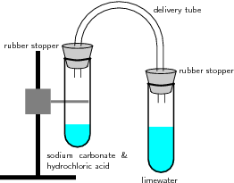 Reaction setup with one test tube containing sodium carbonate and hydrochloric acid that's connected to by a tube to a second test tube containing limewater