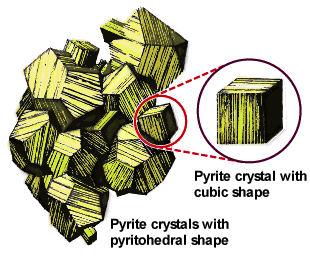 PyriteHabit.gif