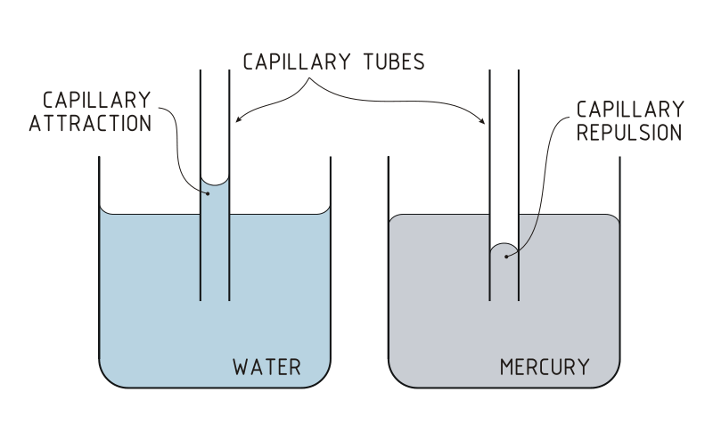 Capillary Action Chemistry LibreTexts Capillary Action Chemistry LibreTexts