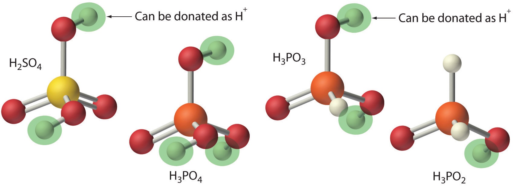Ball and stick diagram of sulfuric acid, phosporic acid, phosphorous acid, and hypophosphorous acid with all of the hydrogen atoms highlighted to show availability to be donated as H positive ion.