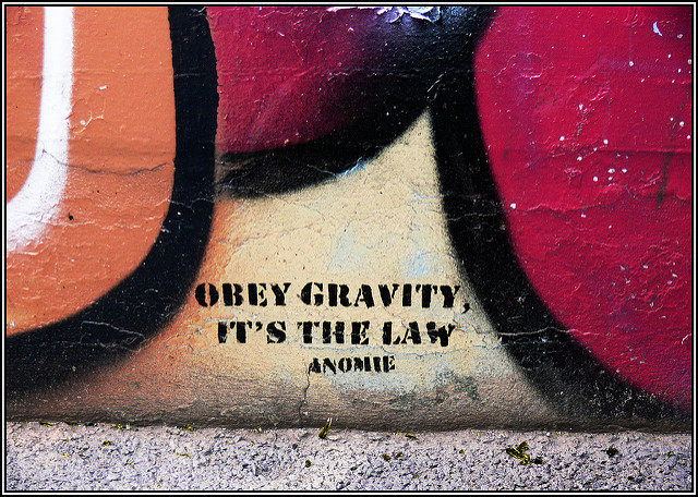 "Obey gravity, it's the law" by Anomie is spray painted onto a wall.