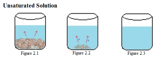 unsaturated solution.bmp