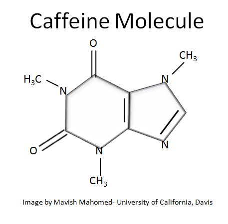Case Study- Caffeine Molecule.JPG