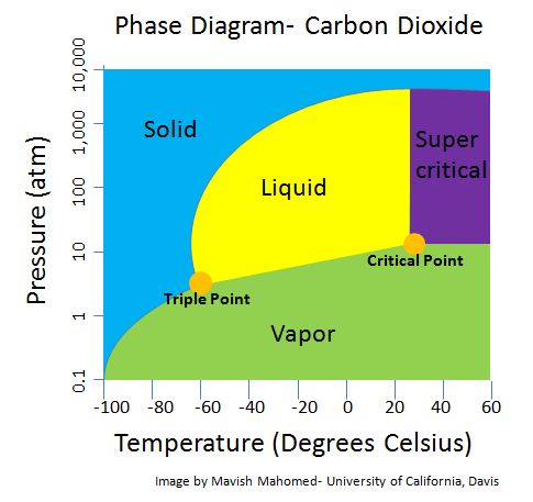 Case study- Carbon Dioxide Phase Diagram.JPG
