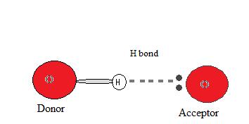 H_bond_diagram_1.jpg