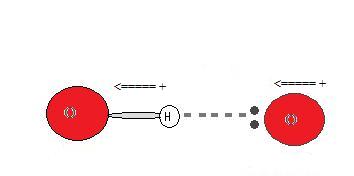 H_bond_diagram_2.jpg