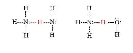 Intermolecular h bonds.jpg