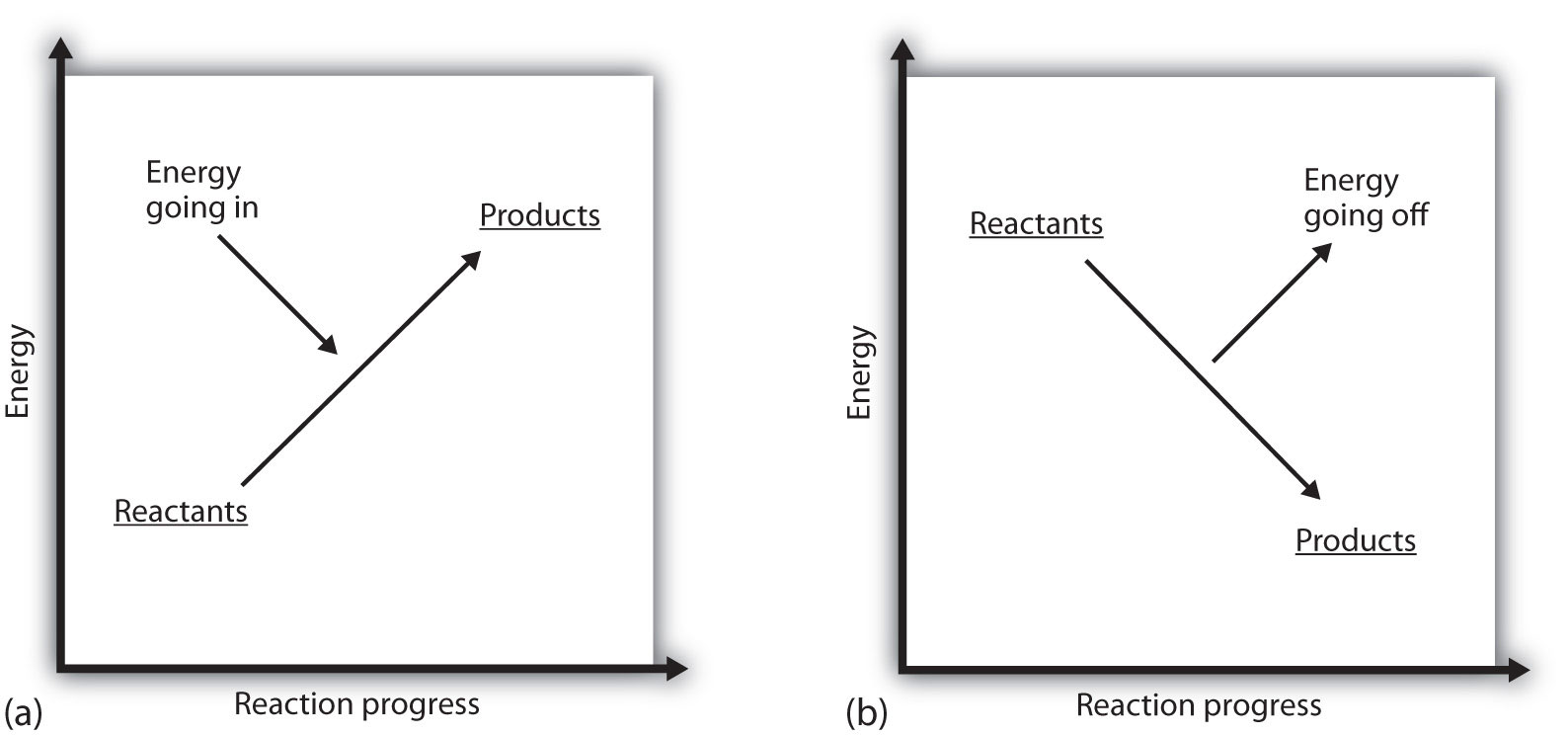 Two graphs of reaction progress versus energy are shown.