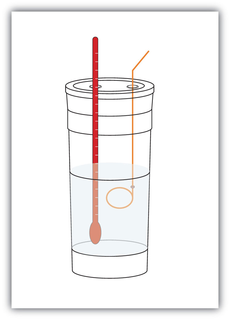 El diagrama simple del calorímetro muestra una taza de café de espuma con una tapa y tiene un termómetro y agitador.