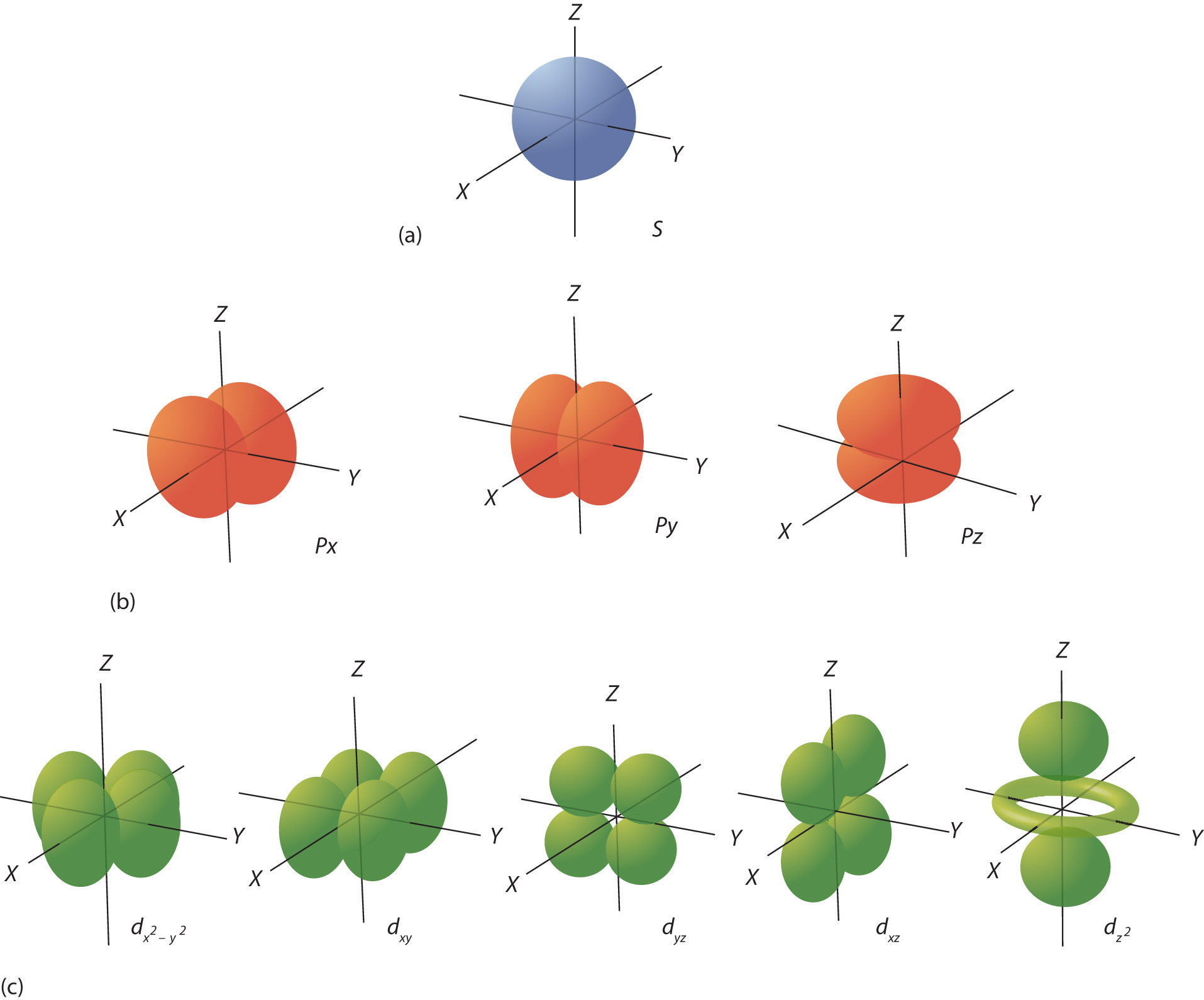 Electron Orbitals.png