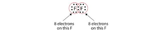 The covalently bound fluorine atoms are shown. Circles encompass each fluorine showing that they each have complete octets through the sharing of electrons.