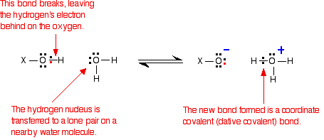 X-OH reversibly reacts with H2O. The OH bond of X-OH breaks, leaving the hydrogen's electron behind on the oxygen. The hydrogen nucleus of water is transferred to a lone pair on a nearby water molecule. The result of the reaction is XO- and H3O+.
