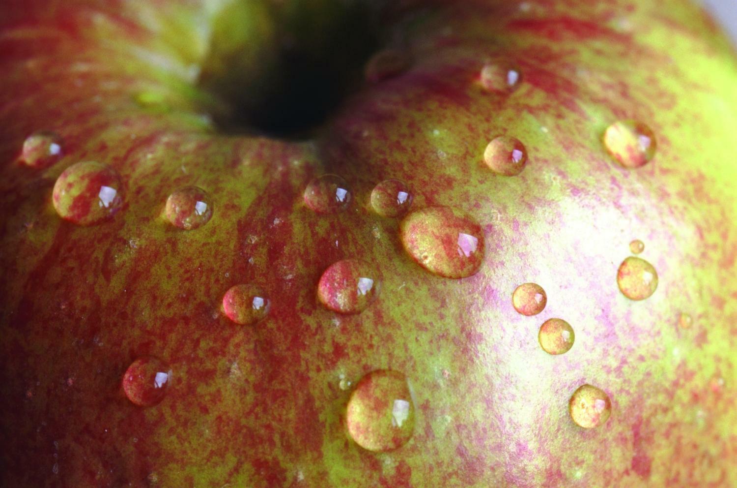 Cierre de manzana con gotas de agua en la superficie.