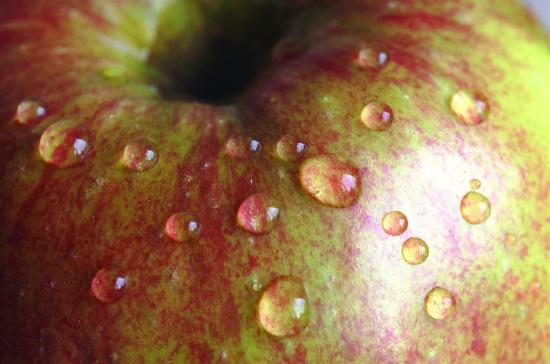 Close up of apple with water droplets on the surface.