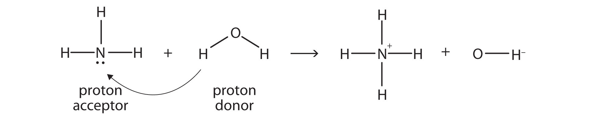NH3 and H2O react to make NH4+ and OH-. The NH3 acts as the proton acceptor and the H2O acts as the proton donator. 