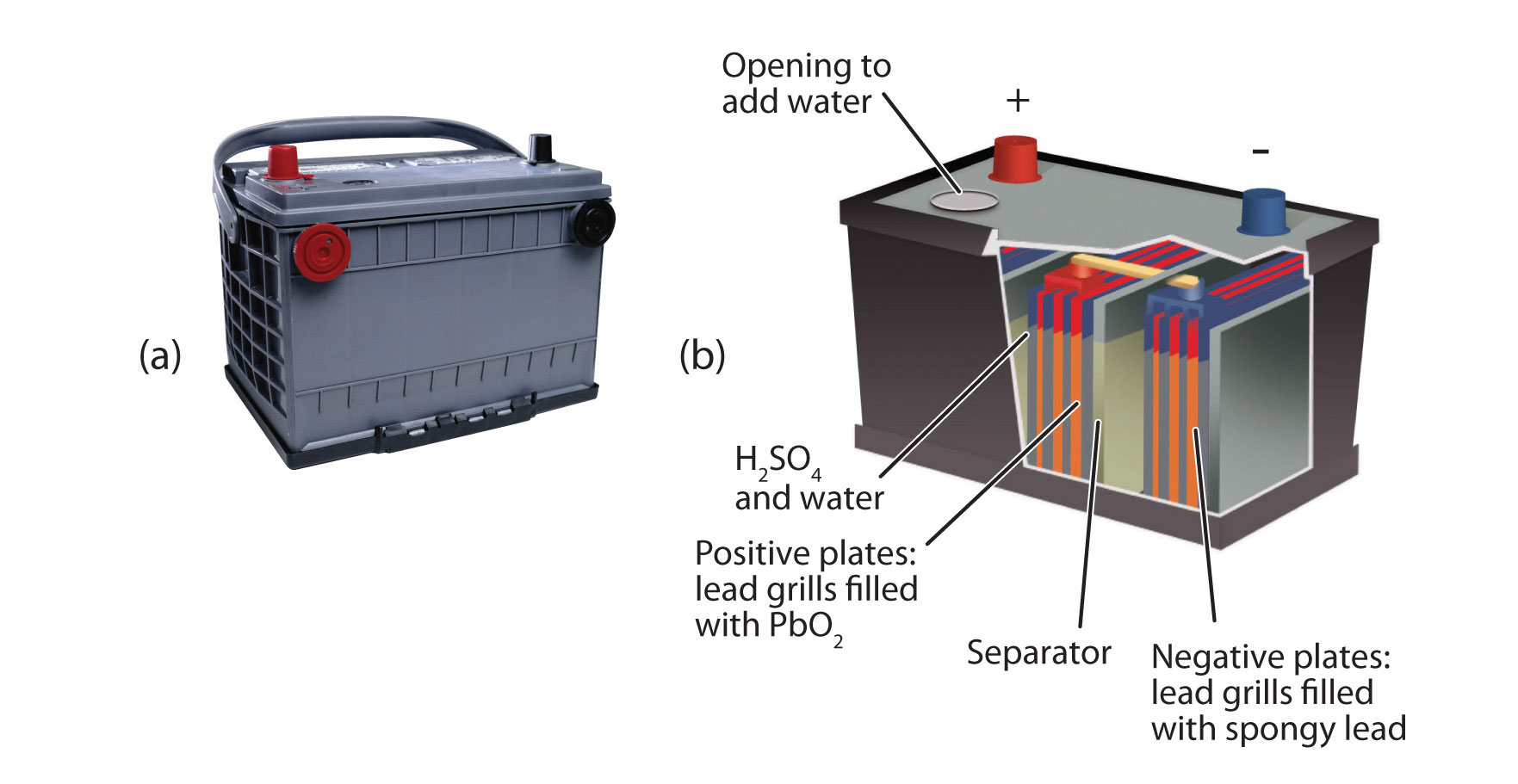 La batería de almacenamiento de plomo consiste en una abertura para agregar agua, H2SO4 y agua, placas positivas, un separador y placas negativas.
