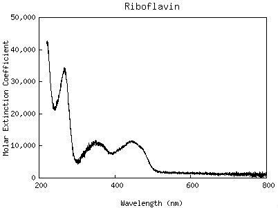 RiboflavinUVVIS (1).jpg